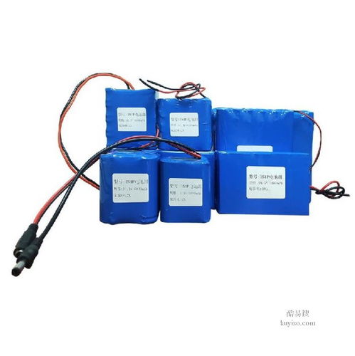 寧波酷易搜車載充電機 高效便捷的車載充電解決方案